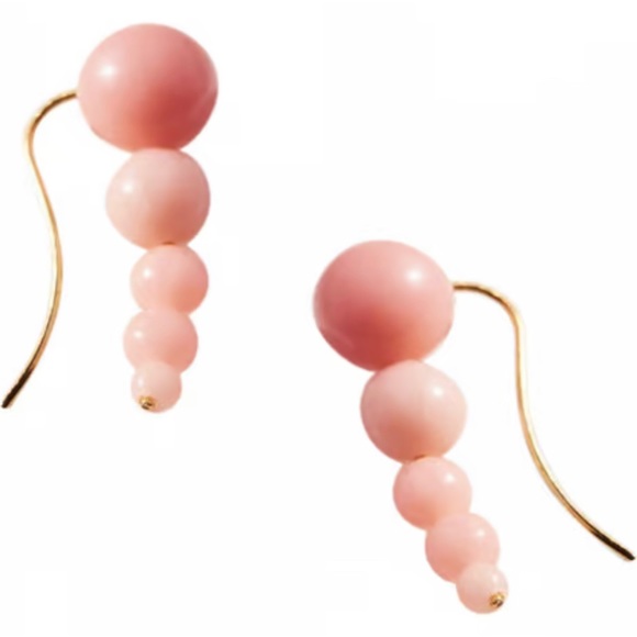 Anthropologie earrings - Picture 1 of 3